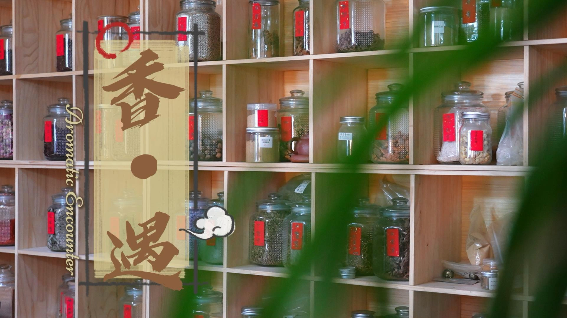 《非遗香遇》视频封面